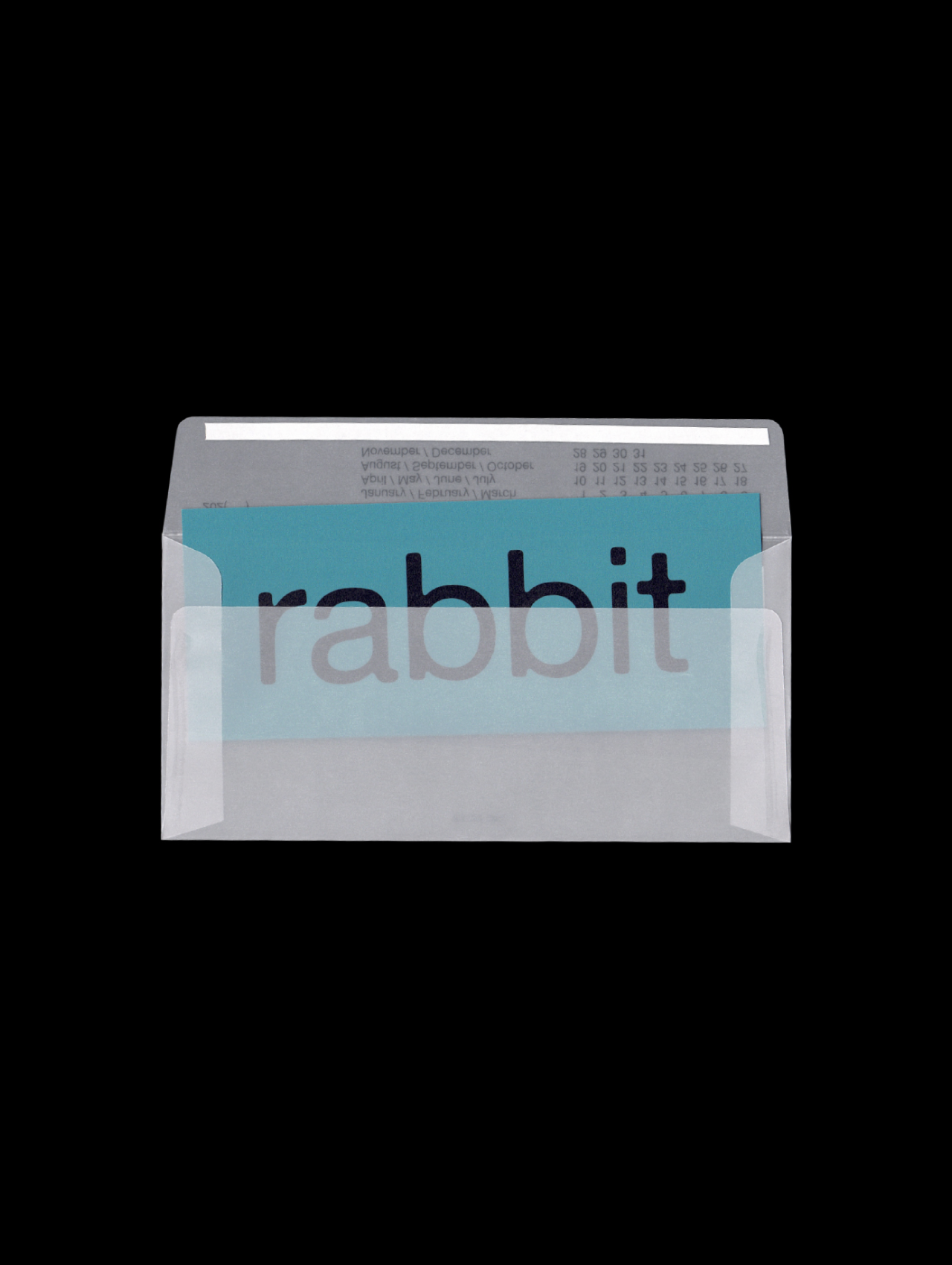 Vocabulary Card - rabbit